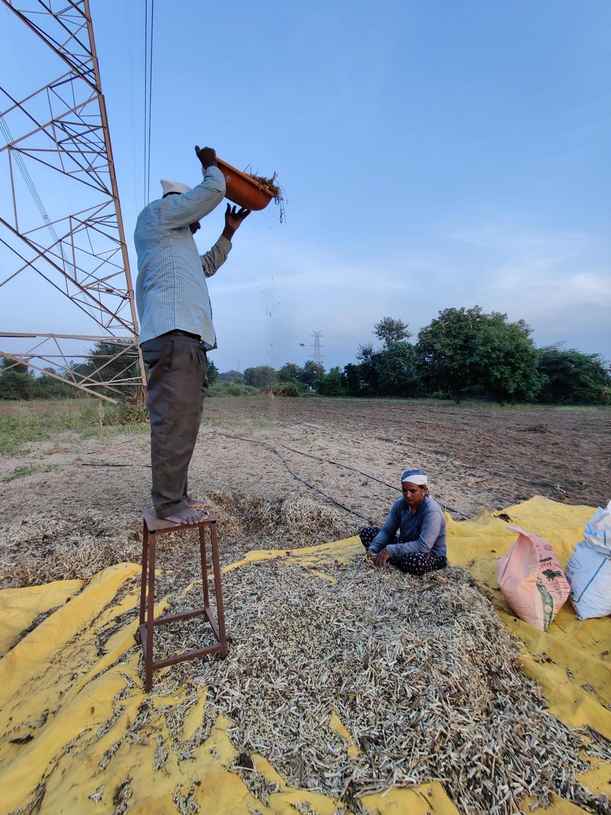 Sustainable, farmer-direct sourcing that underpins Nexway Exims' supply chain